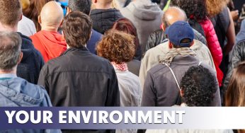 Your Environment Following Program