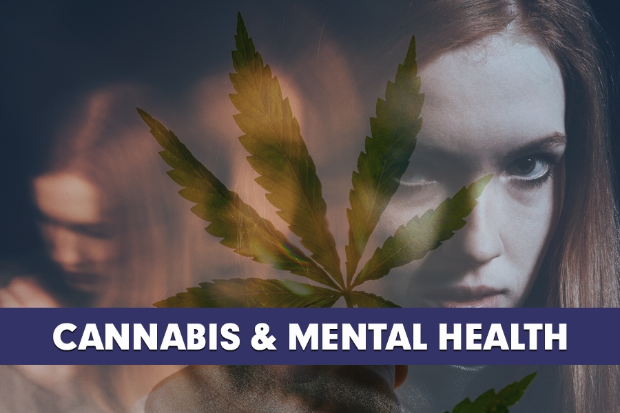 Cannabis & Mental Health